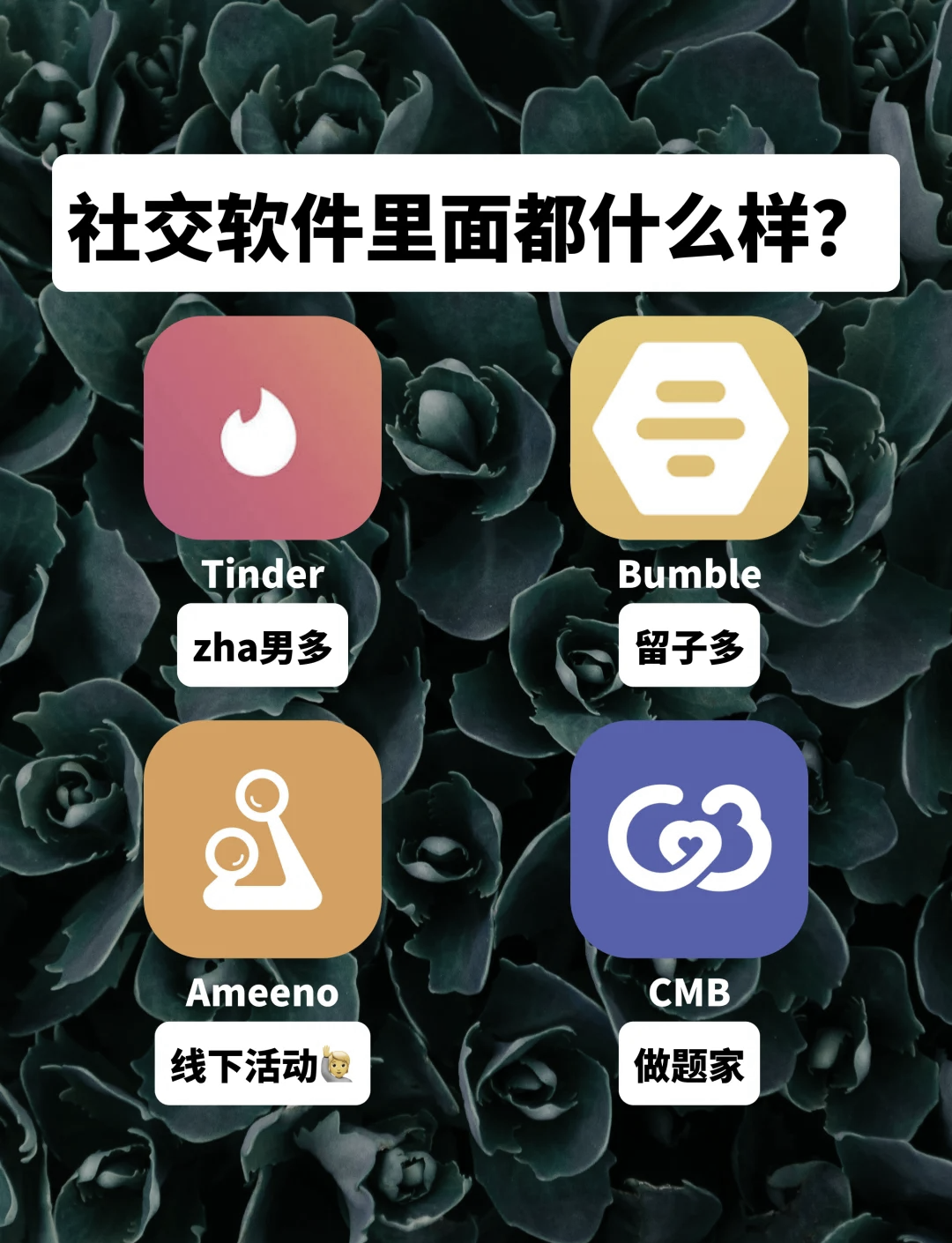中国能用的外国社交软件，中国人可以用的外国社交软件